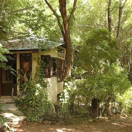 Momchailai Forest Retreat Канчанабури Екстериор снимка