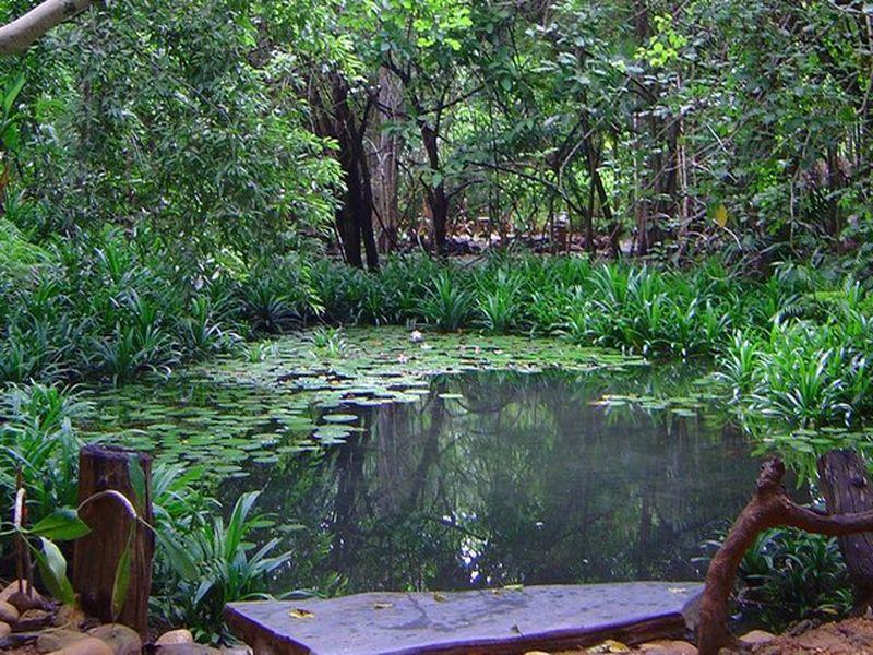 Momchailai Forest Retreat Канчанабури Екстериор снимка